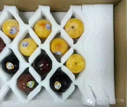 珍珠棉鸡蛋托 各种蛋托 水果托都可以