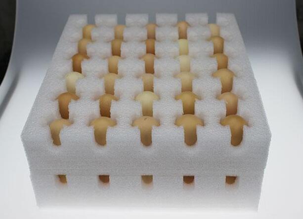 珍珠棉鸡蛋托 电商的福音绿色环保抗震防碰撞效果好